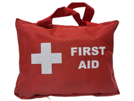 First Aid Kit 38pcs Red Zip Bag